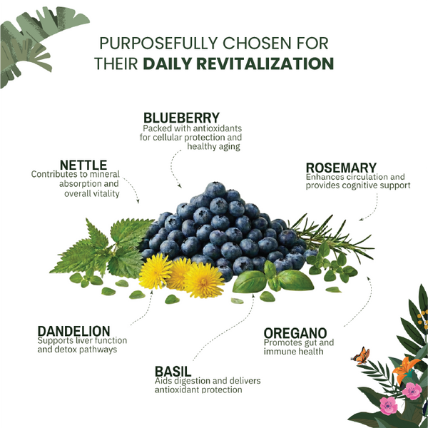 Rejuvenating Brew - alternate view