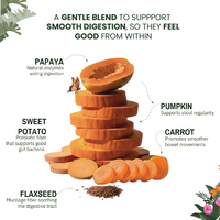 Raw Food Booster For Gut Health