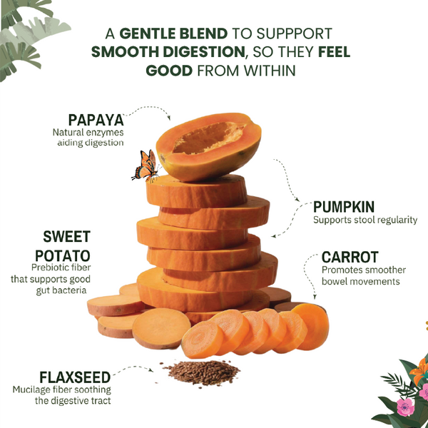 Raw Food Booster For Gut Health - alternate view