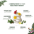 Slimming Brew