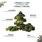 Raw Food Booster For Immunity