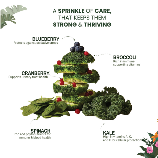 Raw Food Booster For Immunity - alternate view