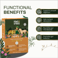 Raw Food Booster For Gut Health
