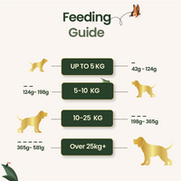 Adult Dog Food (1kg bag)