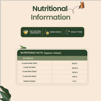 Raw Food Booster For Skin & Coat