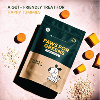 Carrot and Pumpkin Treat