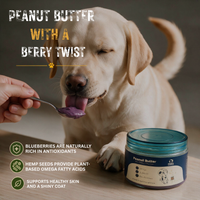 Peanut Butter with Blueberries and Hemp seeds
