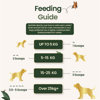 Raw Food Booster For Skin & Coat