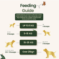 Raw Food Booster For Immunity