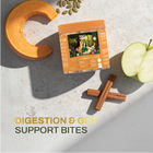 Pumpkin Digestion Bites