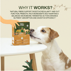 Raw Food Booster For Gut Health