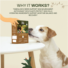 Raw Food Booster For Skin & Coat