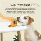 Pumpkin Digestion Bites