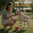 Apple Vitality Bites