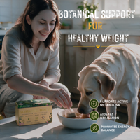 Slimming Brew