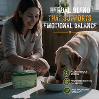 Calming Brew