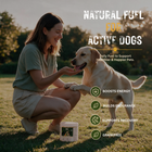 Banana & Mushroom Boost Bites