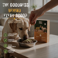Raw Food Booster For Gut Health