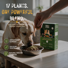 Raw Food Booster For Immunity