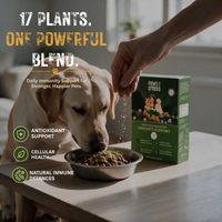 Raw Food Booster For Immunity
