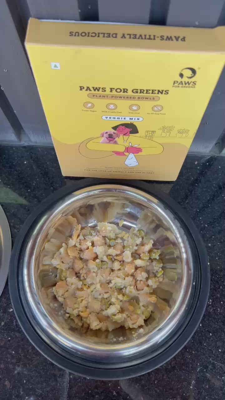 best wet dog food