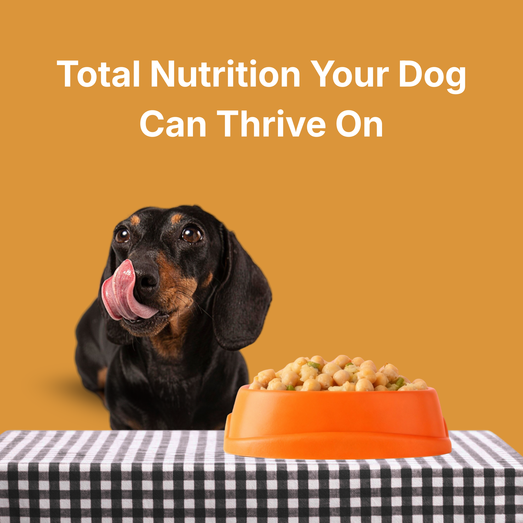 Veg Ready to Eat Wet Dog Food Plant & Based Vegan Pet Food Preservative-Free (Pumpkin 100g+100g Pack)