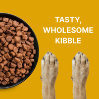 Vet-formulated vegan puppy food with plant protein, B12, essential nutrients supporting digestion, immunity, growth; hypoallergenic, preservative-free.