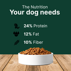 Complete vegan dog food with plant protein, Omega 3 & 6, and B12 supporting digestion, skin, immunity; grain-free, hypoallergenic (Adult Dog Food - 4kg)