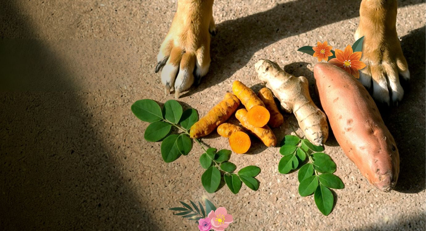 Every ingredient earns its place
